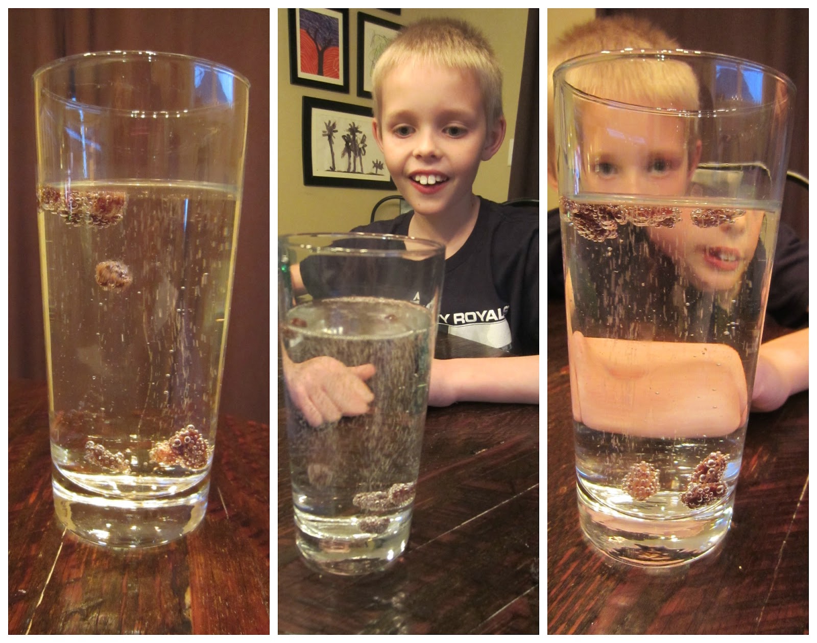 Diving & Rising Raisins (science experiment) Relentlessly Fun